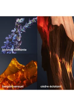 Paco Rabanne 1 Million Royal Parfum -Optimal Parfumerie Magasin 1 million royal parfum paco rabanne 200 ml 2