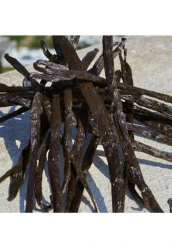 Devotion -Optimal Parfumerie Magasin devotion eau de parfum dolce gabbana 50 ml 5