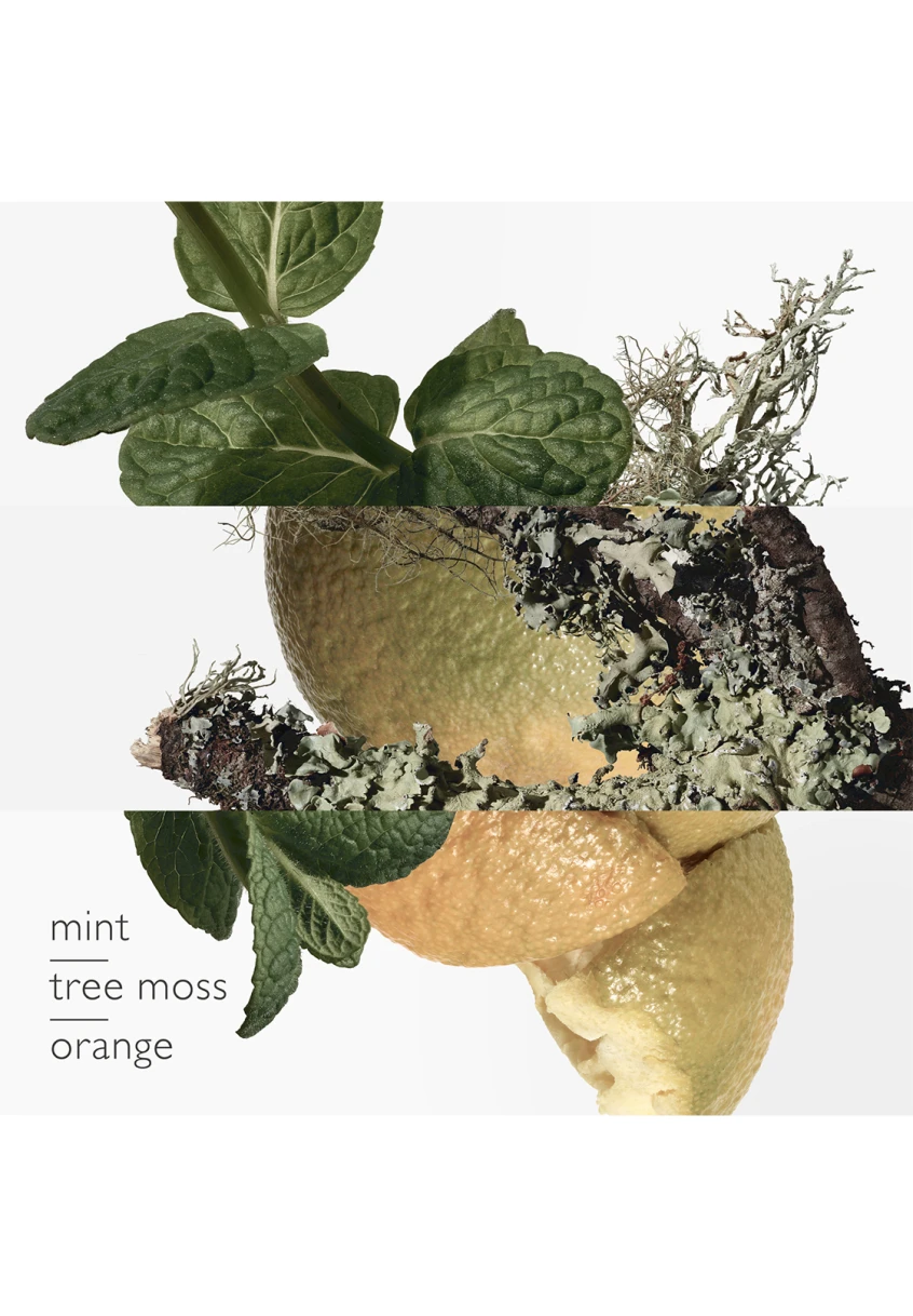 Hermès Eau D'orange Verte 12 Hermès Eau D'orange Verte – Image 10