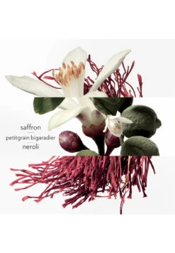 Hermès Eau De Néroli Doré 8 Hermès Eau De Néroli Doré -Optimal Parfumerie Magasin eau de neroli dore eau de cologne hermes 100 ml 2