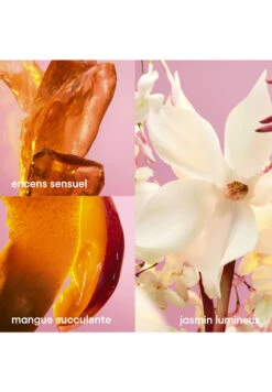 Paco Rabanne Fame Collector -Optimal Parfumerie Magasin fame collector eau de parfum paco rabanne 80 ml 2