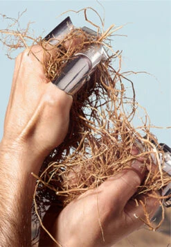 Dolce & Gabbana K By Dolce&Gabbana -Optimal Parfumerie Magasin k by dolce gabbana eau de toilette dolce gabbana 3 1