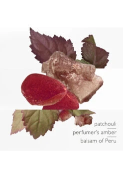 Hermès L'Ambre Des Merveilles 12 Hermès L'Ambre Des Merveilles -Optimal Parfumerie Magasin l ambre des merveilles eau de parfum hermes 100 ml 1