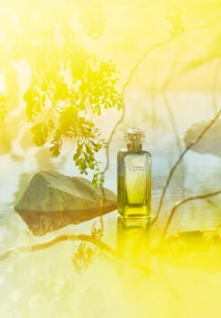 Hermès Le Jardin De Monsieur Li -Optimal Parfumerie Magasin le jardin de monsieur li eau de toilette hermes 100 ml 3