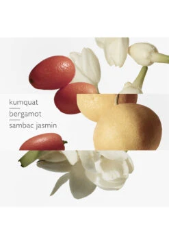 Hermès Le Jardin De Monsieur Li -Optimal Parfumerie Magasin le jardin de monsieur li eau de toilette hermes 50 ml 2