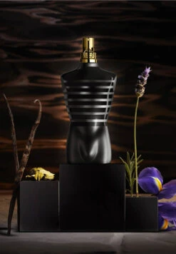 Jean Paul Gaultier Le Male Le Parfum -Optimal Parfumerie Magasin le male le parfum jean paul gaultier 200 ml 3