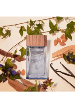 Lolita Lempicka Lempicka Homme 8 Lolita Lempicka Lempicka Homme -Optimal Parfumerie Magasin lempicka homme eau de toilette lolita lempicka 100 ml 2 1