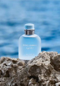 Dolce & Gabbana Light Blue Pour Homme 13 Dolce & Gabbana Light Blue Pour Homme -Optimal Parfumerie Magasin light blue pour homme eau intense dolce gabbana 50 ml 2