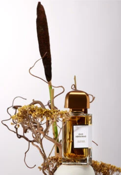 Oud Abramad -Optimal Parfumerie Magasin oud abramad eau de parfum bdk parfums 100 ml 4