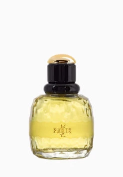Yves Saint Laurent Paris