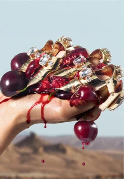 Dolce & Gabbana Q By Dolce&Gabbana -Optimal Parfumerie Magasin q by dolce gabbana eau de parfum dolce gabbana 4 1 1