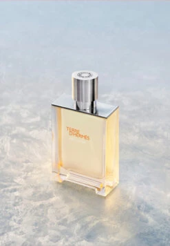 Terre D'Hermès Eau Givrée -Optimal Parfumerie Magasin terre d hermes eau givree eau de parfum hermes 50 ml 2 1