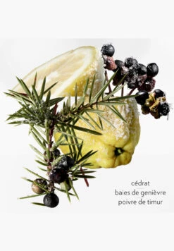 Terre D'Hermès Eau Givrée -Optimal Parfumerie Magasin terre d hermes eau givree eau de parfum hermes 50 ml 3 1