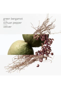 Terre D'Hermès Eau Intense Vétiver -Optimal Parfumerie Magasin terre d hermes eau intense vetiver eau de parfum hermes 100 ml 1