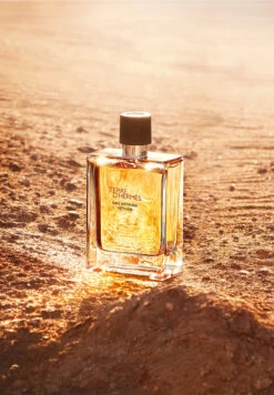 Terre D'Hermès Eau Intense Vétiver -Optimal Parfumerie Magasin terre d hermes eau intense vetiver eau de parfum hermes 100 ml 2