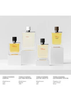 Terre D'Hermès Eau Intense Vétiver -Optimal Parfumerie Magasin terre d hermes eau intense vetiver eau de parfum hermes 100 ml 3