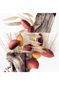 Hermès Un Jardin à Cythère 16 Hermès Un Jardin à Cythère -Optimal Parfumerie Magasin un jardin a cythere eau de toilette hermes 50 ml 2