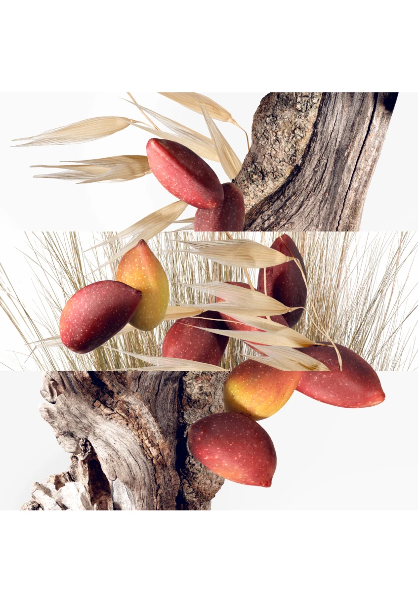 Hermès Un Jardin à Cythère 5 Hermès Un Jardin à Cythère – Image 3