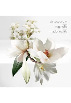 Hermès Un Jardin Sur La Lagune -Optimal Parfumerie Magasin un jardin sur la lagune eau de toilette herme 50 ml 2