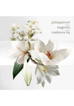 Hermès Un Jardin Sur La Lagune -Optimal Parfumerie Magasin un jardin sur la lagune eau de toilette hermes 100 ml 2