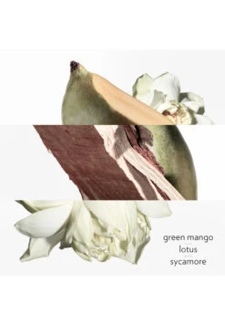 Hermès Un Jardin Sur Le Nil -Optimal Parfumerie Magasin un jardin sur le nil eau de toilette hermes 100 ml 2