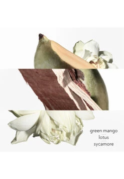 Hermès Un Jardin Sur Le Nil -Optimal Parfumerie Magasin un jardin sur le nil eau de toilette hermes 50 ml 2